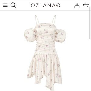 Ozlana Australian vintage rose draped dress